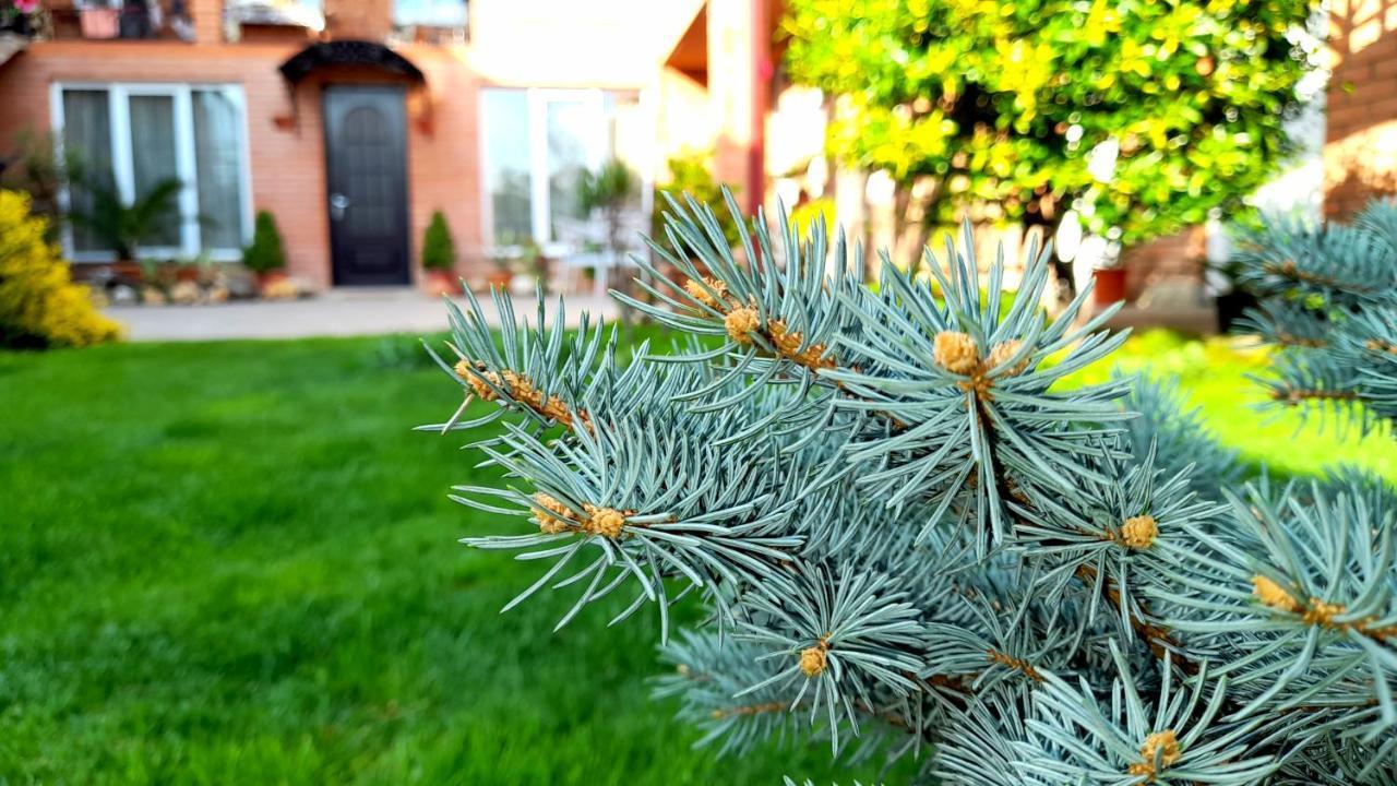 Green Garden Tbilisi Luaran gambar