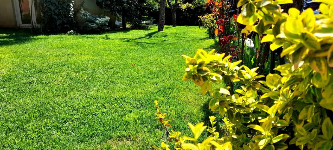 Green Garden Tbilisi Luaran gambar