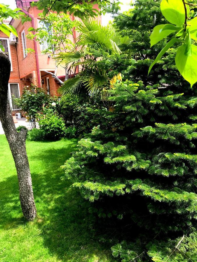 Green Garden Tbilisi Luaran gambar
