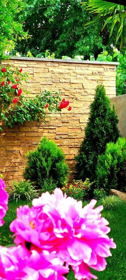 Green Garden Tbilisi Luaran gambar